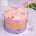 OmbreButterflycake_800x